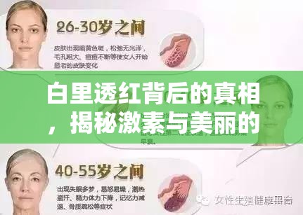 白里透紅背后的真相，揭秘激素與美麗的復(fù)雜關(guān)系