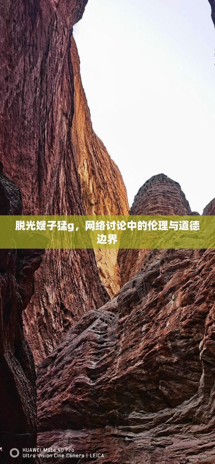 脫光嫂子猛g，網(wǎng)絡(luò)討論中的倫理與道德邊界