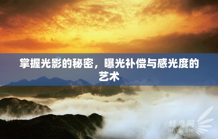 掌握光影的秘密，曝光補(bǔ)償與感光度的藝術(shù)