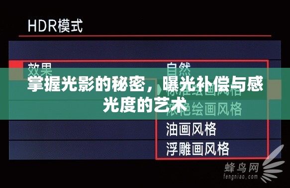掌握光影的秘密，曝光補(bǔ)償與感光度的藝術(shù)