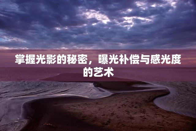 掌握光影的秘密，曝光補(bǔ)償與感光度的藝術(shù)