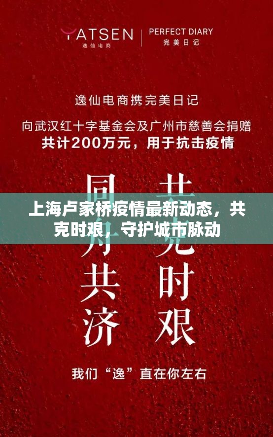 上海盧家橋疫情最新動態(tài)，共克時艱，守護城市脈動