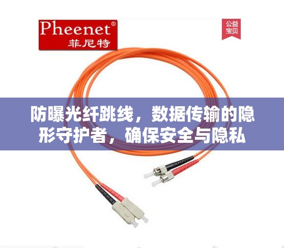 防曝光纖跳線，數(shù)據(jù)傳輸?shù)碾[形守護者，確保安全與隱私