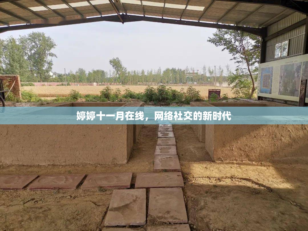 婷婷十一月在線，網(wǎng)絡(luò)社交的新時代