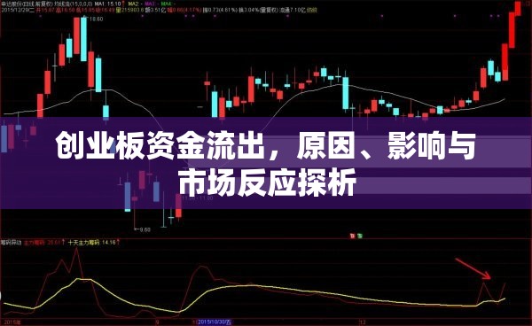 創(chuàng)業(yè)板資金流出，原因、影響與市場反應(yīng)探析