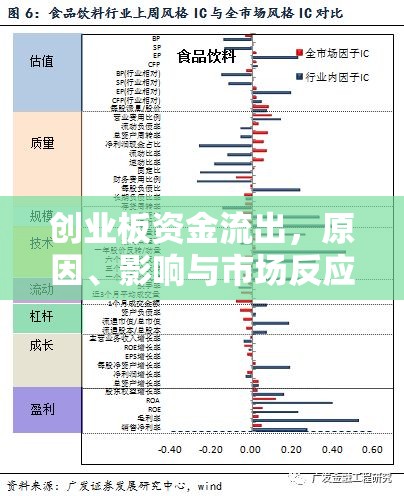 創(chuàng)業(yè)板資金流出，原因、影響與市場反應(yīng)探析