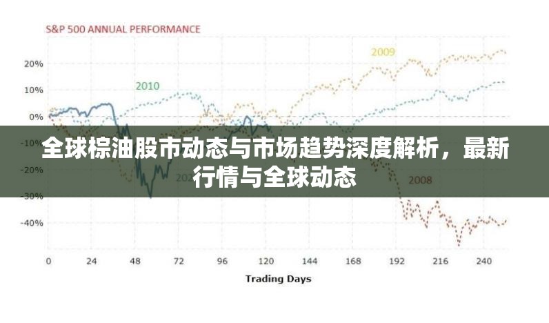 全球棕油股市動態(tài)與市場趨勢深度解析，最新行情與全球動態(tài)