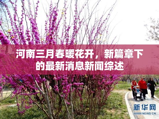 河南三月春暖花開(kāi)，新篇章下的最新消息新聞綜述