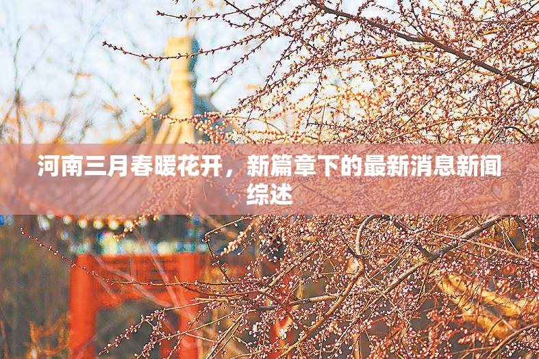 河南三月春暖花開(kāi)，新篇章下的最新消息新聞綜述