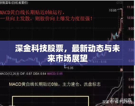 深金科技股票，最新動(dòng)態(tài)與未來市場(chǎng)展望