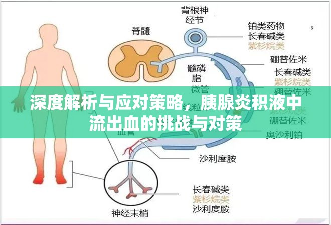 深度解析與應(yīng)對(duì)策略，胰腺炎積液中流出血的挑戰(zhàn)與對(duì)策