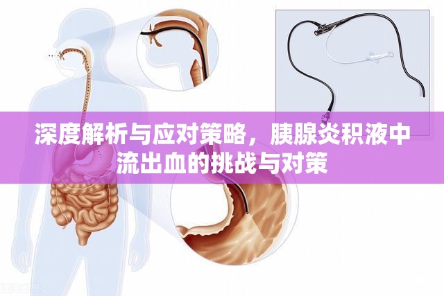 深度解析與應(yīng)對(duì)策略，胰腺炎積液中流出血的挑戰(zhàn)與對(duì)策