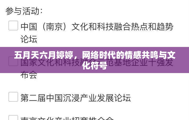 五月天六月婷婷，網(wǎng)絡(luò)時代的情感共鳴與文化符號
