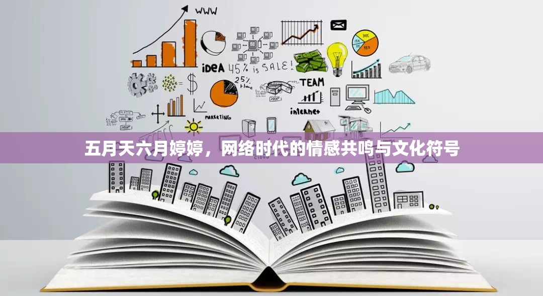 五月天六月婷婷，網(wǎng)絡(luò)時代的情感共鳴與文化符號