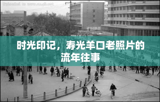 時光印記，壽光羊口老照片的流年往事