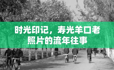時光印記，壽光羊口老照片的流年往事