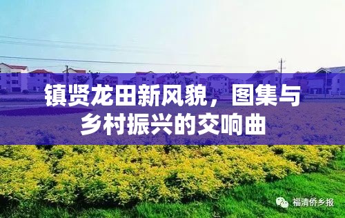 鎮(zhèn)賢龍?zhí)镄嘛L貌，圖集與鄉(xiāng)村振興的交響曲