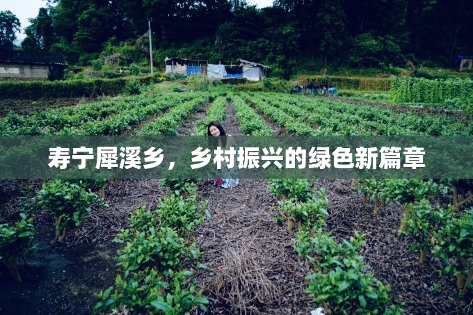 壽寧犀溪鄉(xiāng)，鄉(xiāng)村振興的綠色新篇章
