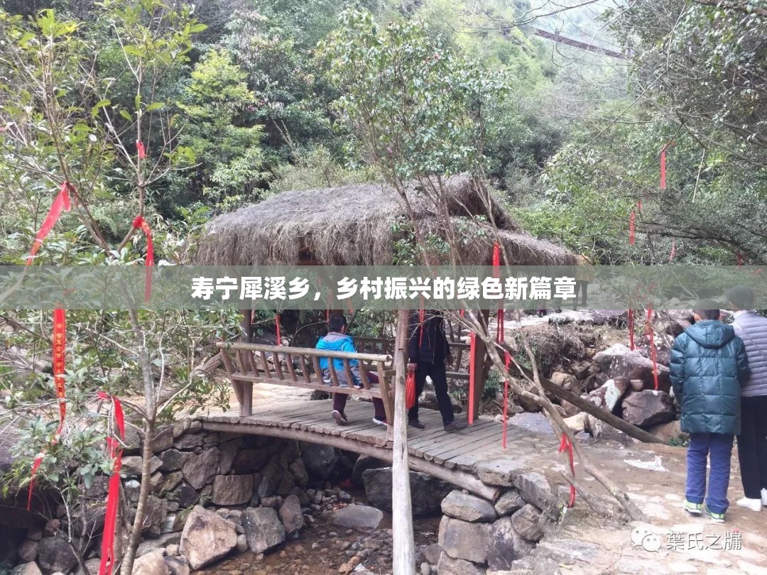 壽寧犀溪鄉(xiāng)，鄉(xiāng)村振興的綠色新篇章