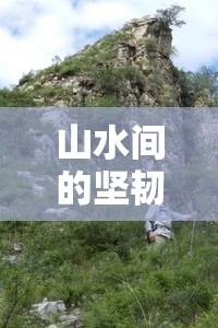 山水間的堅韌與美麗，河北徒步女主播的徒步之旅