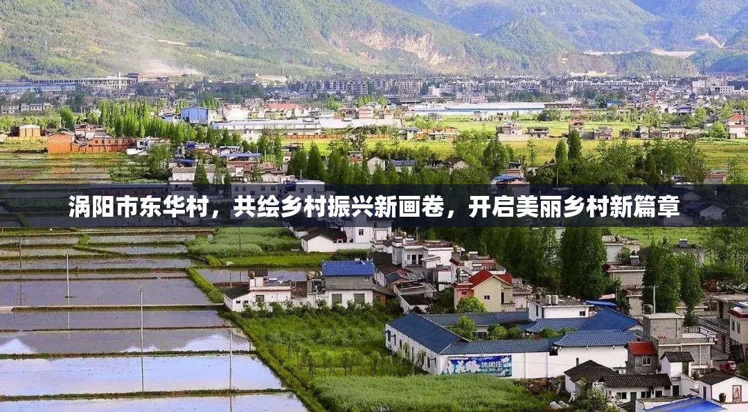 渦陽市東華村，共繪鄉(xiāng)村振興新畫卷，開啟美麗鄉(xiāng)村新篇章