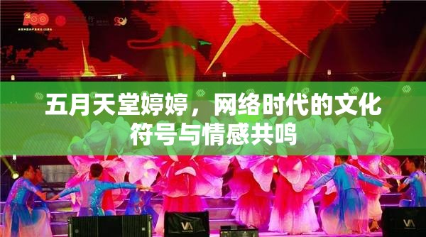 五月天堂婷婷，網(wǎng)絡(luò)時代的文化符號與情感共鳴