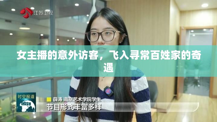女主播的意外訪客，飛入尋常百姓家的奇遇