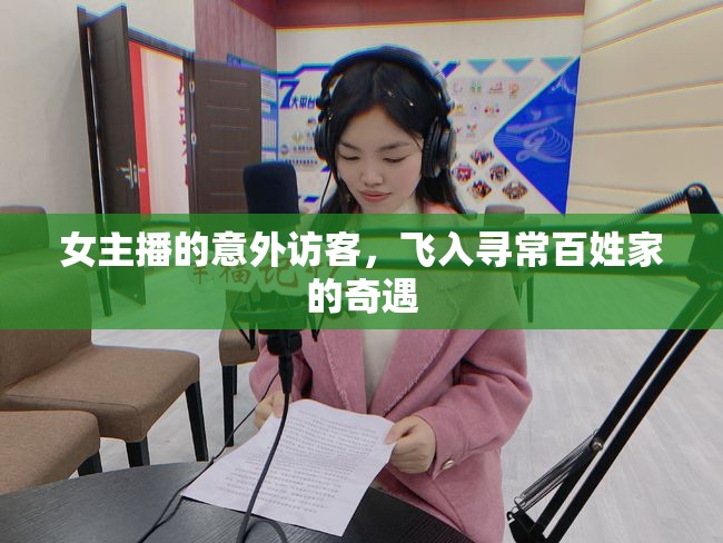 女主播的意外訪客，飛入尋常百姓家的奇遇