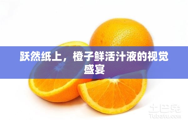 躍然紙上，橙子鮮活汁液的視覺盛宴