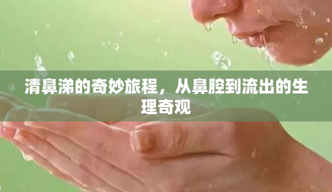 清鼻涕的奇妙旅程，從鼻腔到流出的生理奇觀