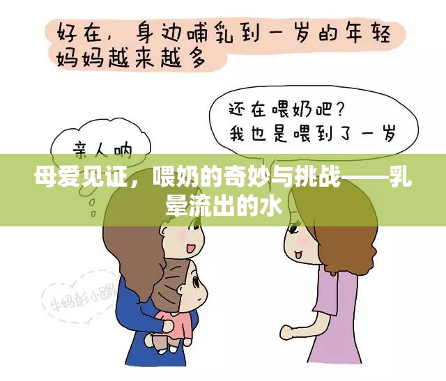 母愛見證，喂奶的奇妙與挑戰(zhàn)——乳暈流出的水