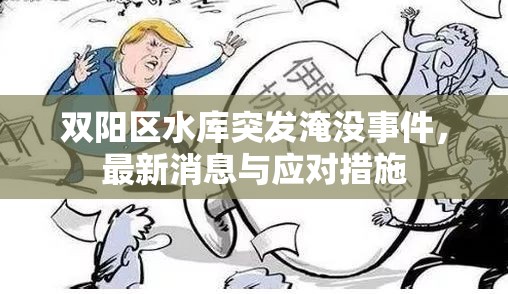 雙陽(yáng)區(qū)水庫(kù)突發(fā)淹沒(méi)事件，最新消息與應(yīng)對(duì)措施
