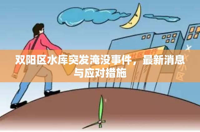 雙陽(yáng)區(qū)水庫(kù)突發(fā)淹沒(méi)事件，最新消息與應(yīng)對(duì)措施