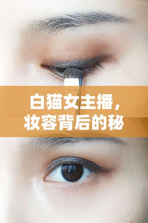 白貓女主播，妝容背后的秘密與魅力綻放