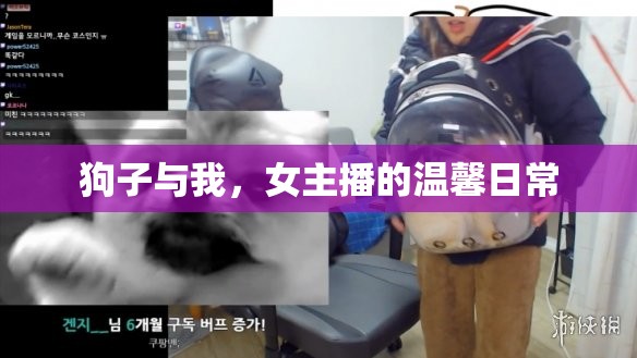 狗子與我，女主播的溫馨日常