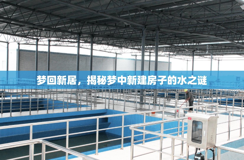 夢(mèng)回新居，揭秘夢(mèng)中新建房子的水之謎