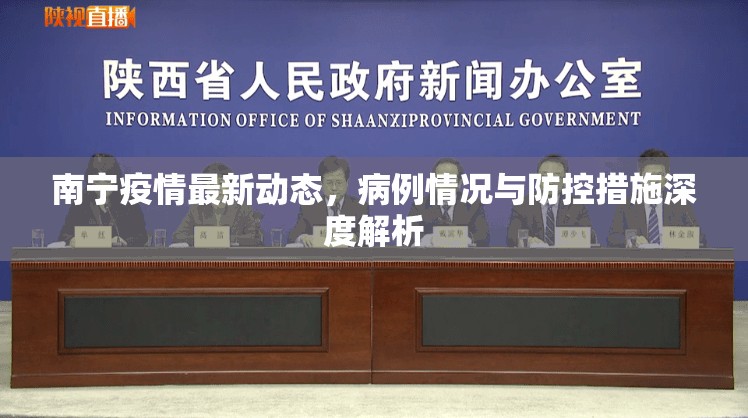 南寧疫情最新動態(tài)，病例情況與防控措施深度解析