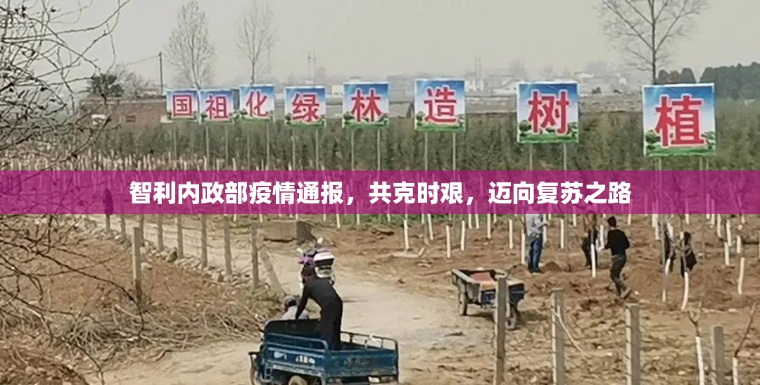 智利內(nèi)政部疫情通報(bào)，共克時(shí)艱，邁向復(fù)蘇之路