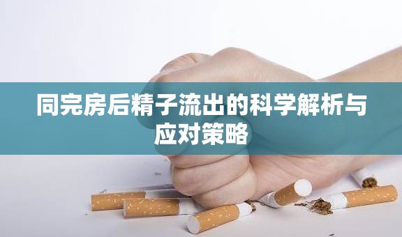 同完房后精子流出的科學(xué)解析與應(yīng)對(duì)策略