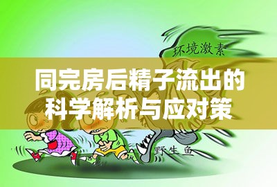 同完房后精子流出的科學(xué)解析與應(yīng)對(duì)策略