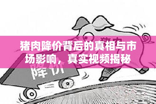 豬肉降價背后的真相與市場影響，真實視頻揭秘