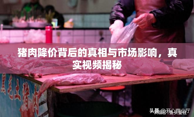 豬肉降價背后的真相與市場影響，真實視頻揭秘