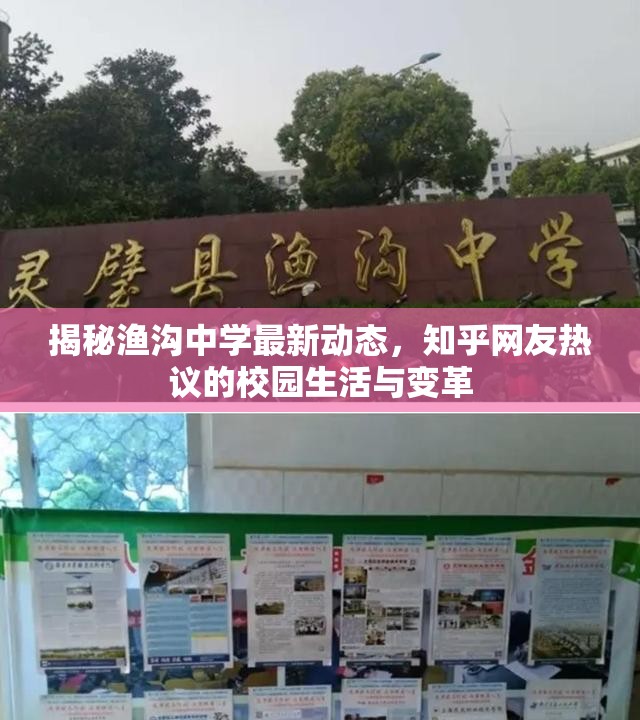 揭秘漁溝中學最新動態(tài)，知乎網(wǎng)友熱議的校園生活與變革