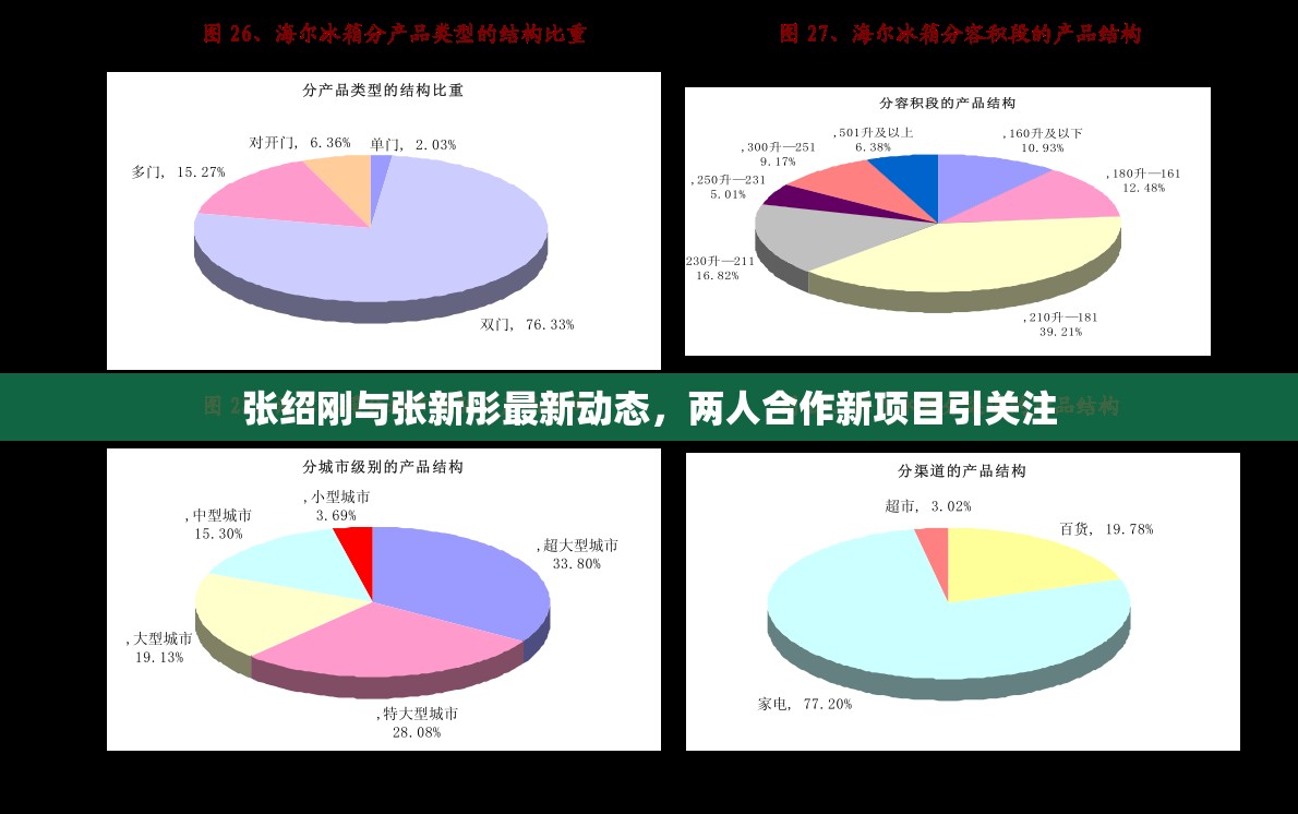 張紹剛與張新彤最新動態(tài)，兩人合作新項目引關注