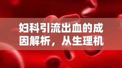 婦科引流出血的成因解析，從生理機制到病理變化的全面探討