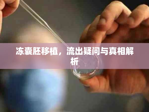 凍囊胚移植，流出疑問與真相解析