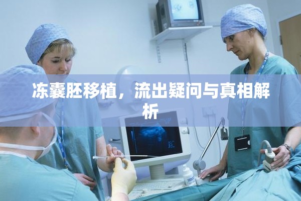 凍囊胚移植，流出疑問與真相解析
