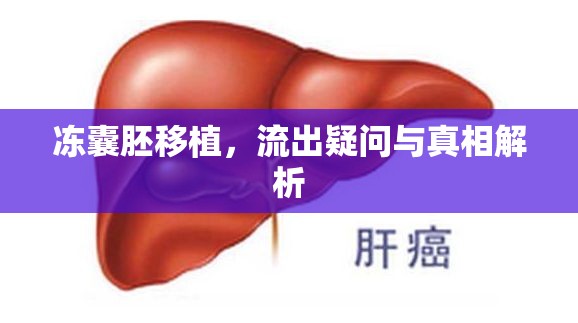 凍囊胚移植，流出疑問與真相解析