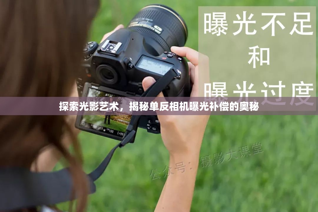 探索光影藝術(shù)，揭秘單反相機(jī)曝光補(bǔ)償?shù)膴W秘
