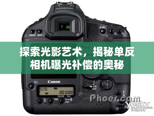 探索光影藝術(shù)，揭秘單反相機(jī)曝光補(bǔ)償?shù)膴W秘